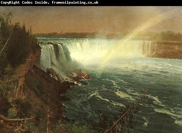 Albert Bierstadt Niagara